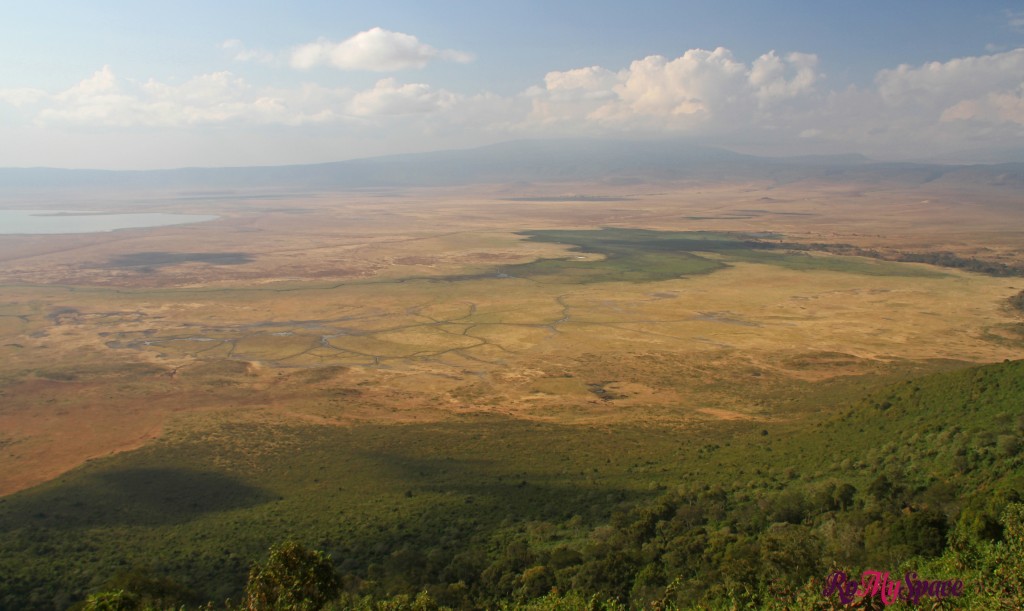 ngorongoro_carrie (392)b copia copia