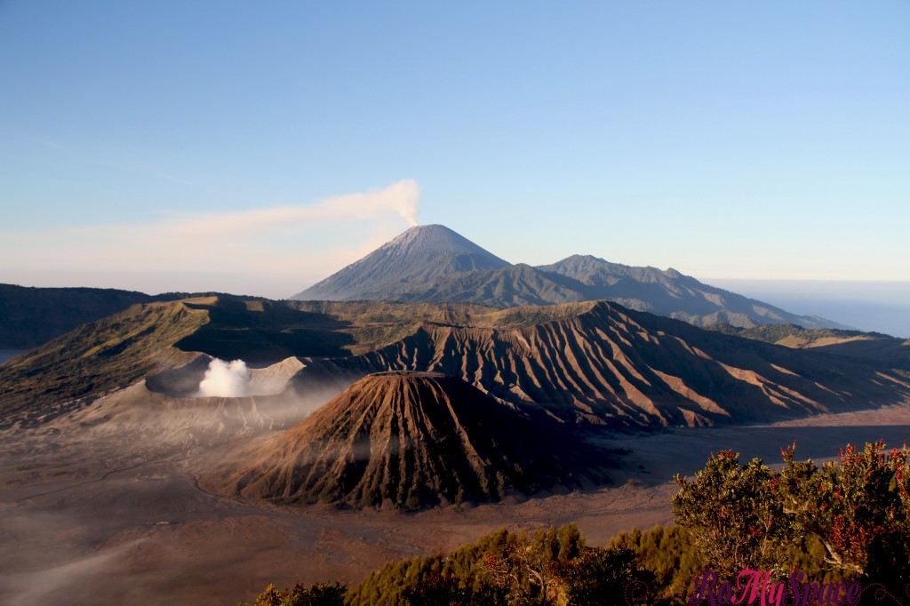 bromo_alba_carrie_7498_1