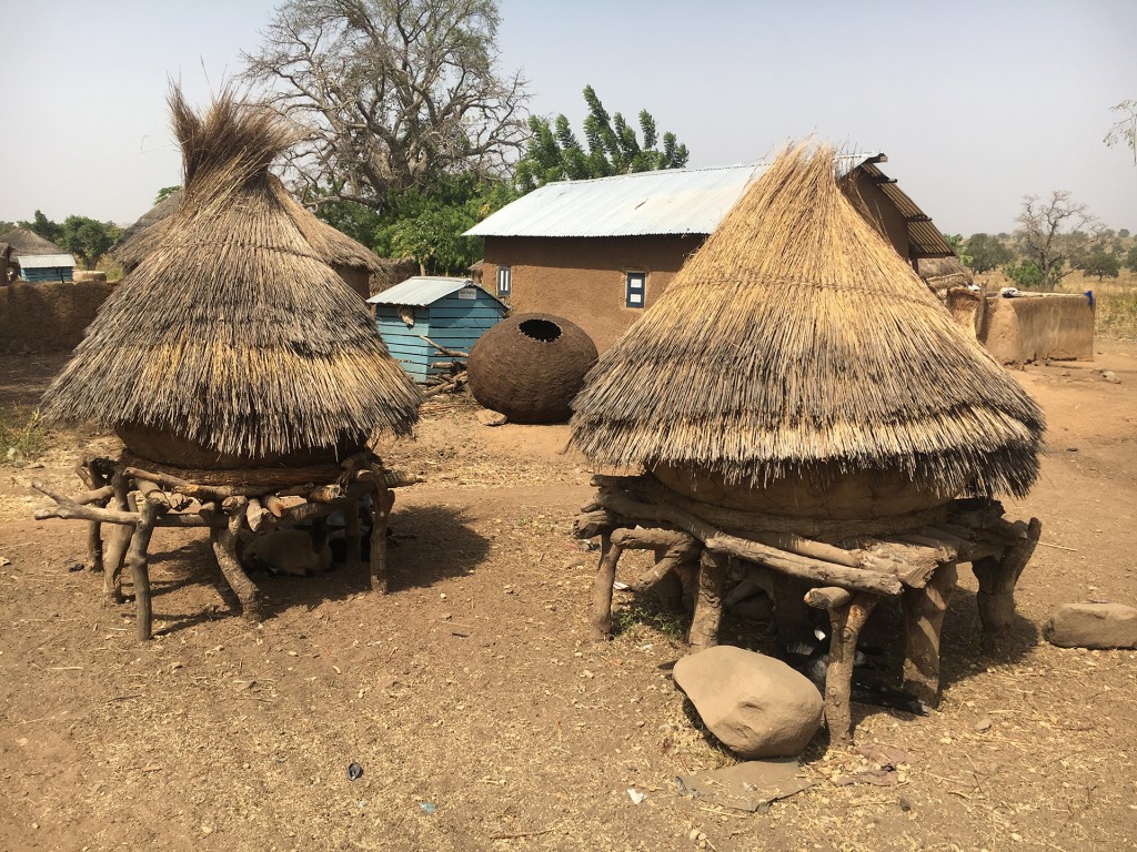 Villaggio Streghe_Dagomba_Kogomba_Ghana_coffee_1158