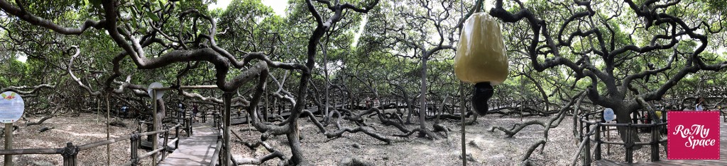 albero panoramica