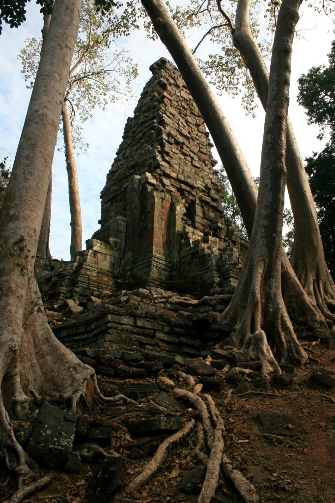 cambogia angkor sito archeologico preah palilay tempio piante 5