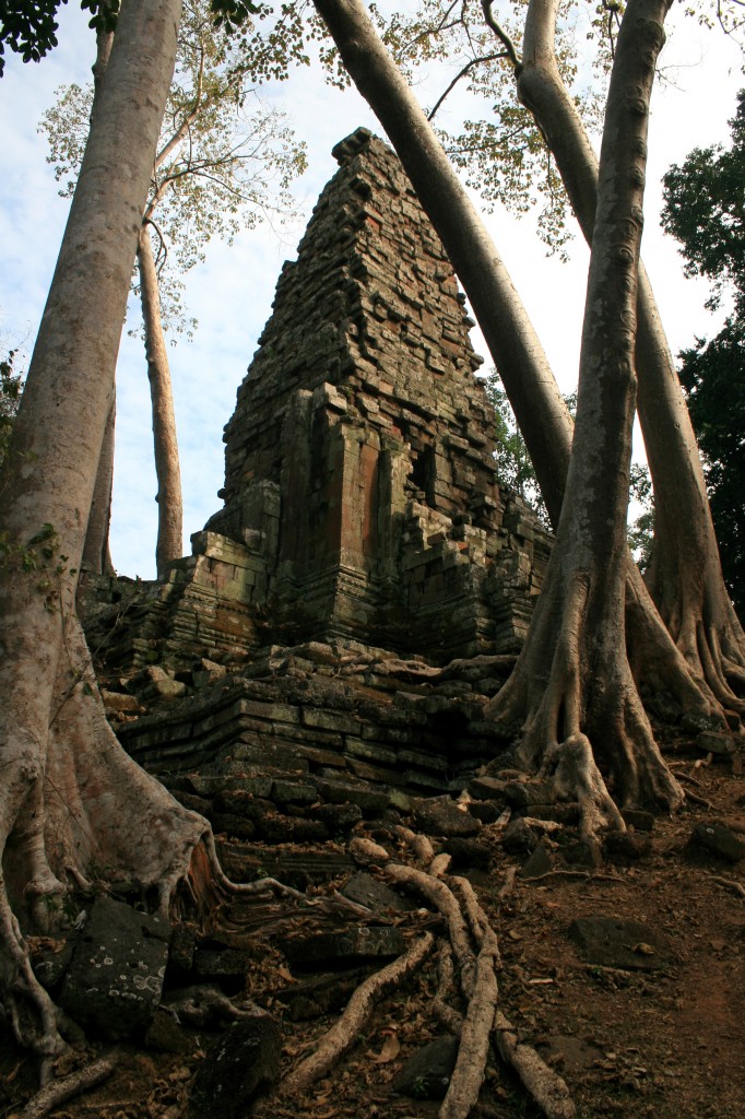 cambogia angkor sito archeologico preah palilay tempio piante 5