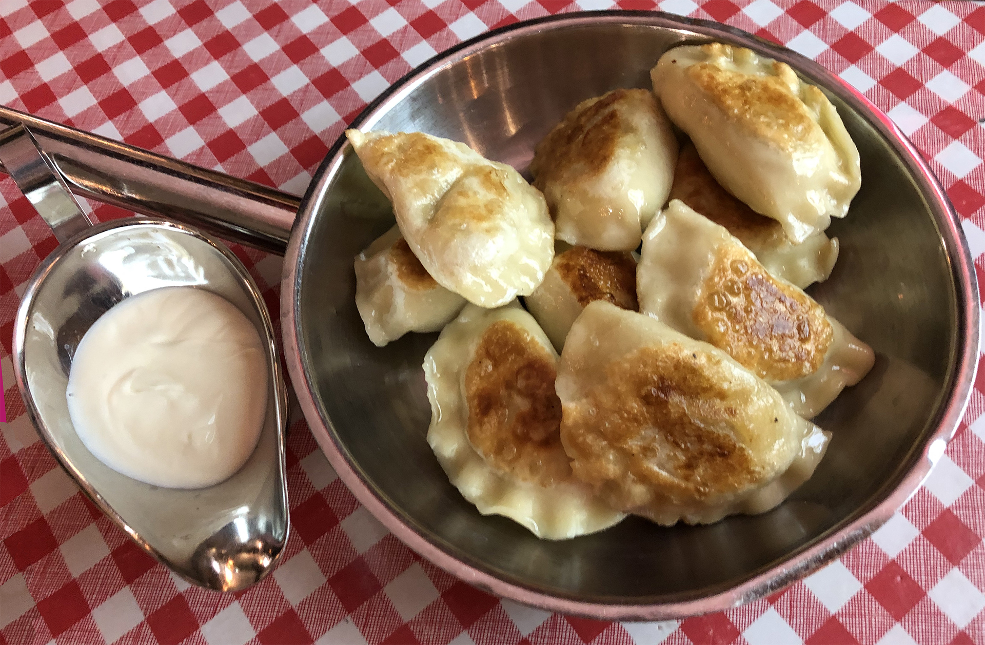 pierogi alla piastra