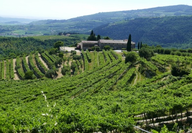 i vini della Valpolicella