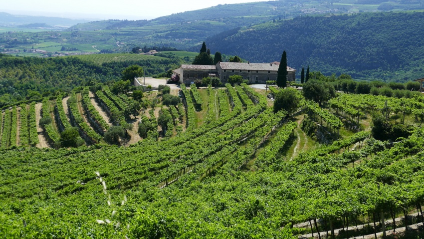 i vini della Valpolicella