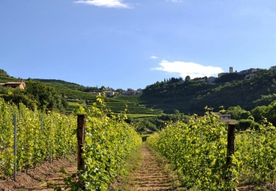 valpolicella