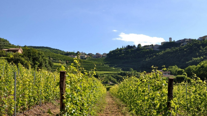 valpolicella