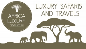 luxury safari - africa luxury travel atelier - elefanti e acacia