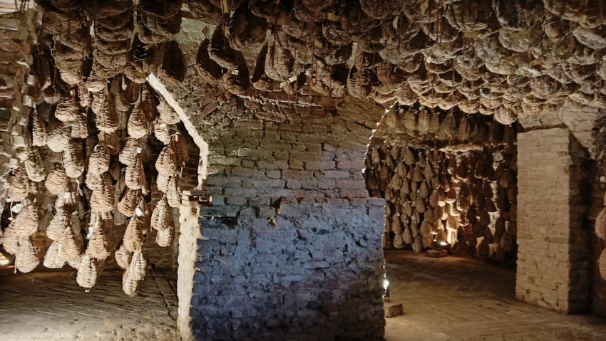 stagionatura culatelli museo del culatello di zibello