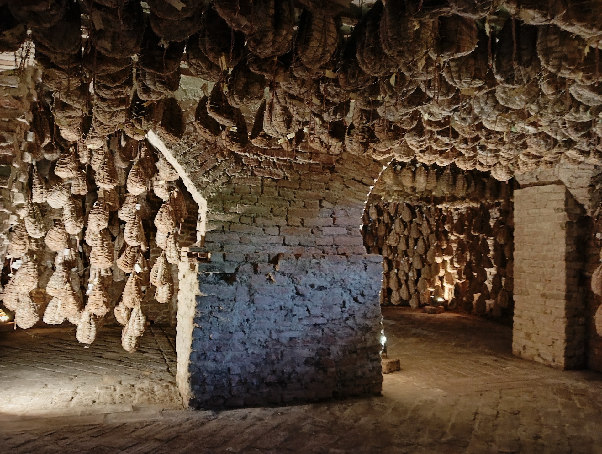 stagionatura culatelli museo del culatello di zibello