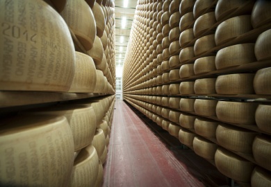 stagionatura del parmigiano reggiano